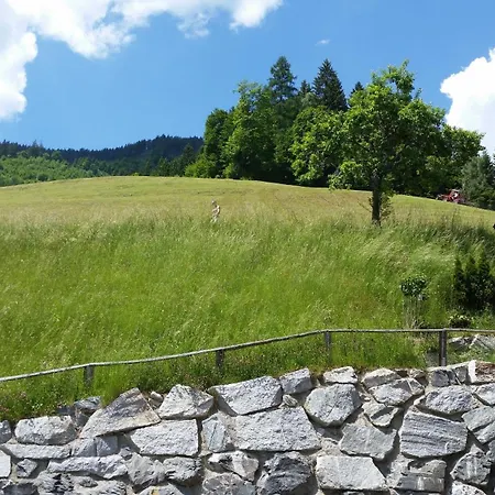 Konukevi Jausenstation Pfefferbauer